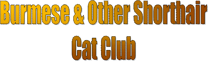 Burmese & Other Shorthair
Cat Club